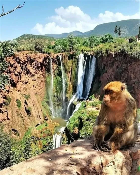 3 Days: Ouzoud Waterfalls, Essaouira & Marrakech Adventure
