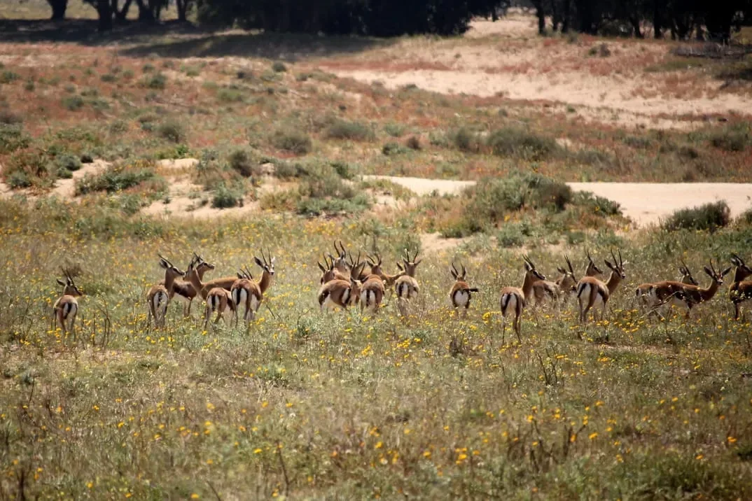Group of travelers enjoying the park's scenic beauty