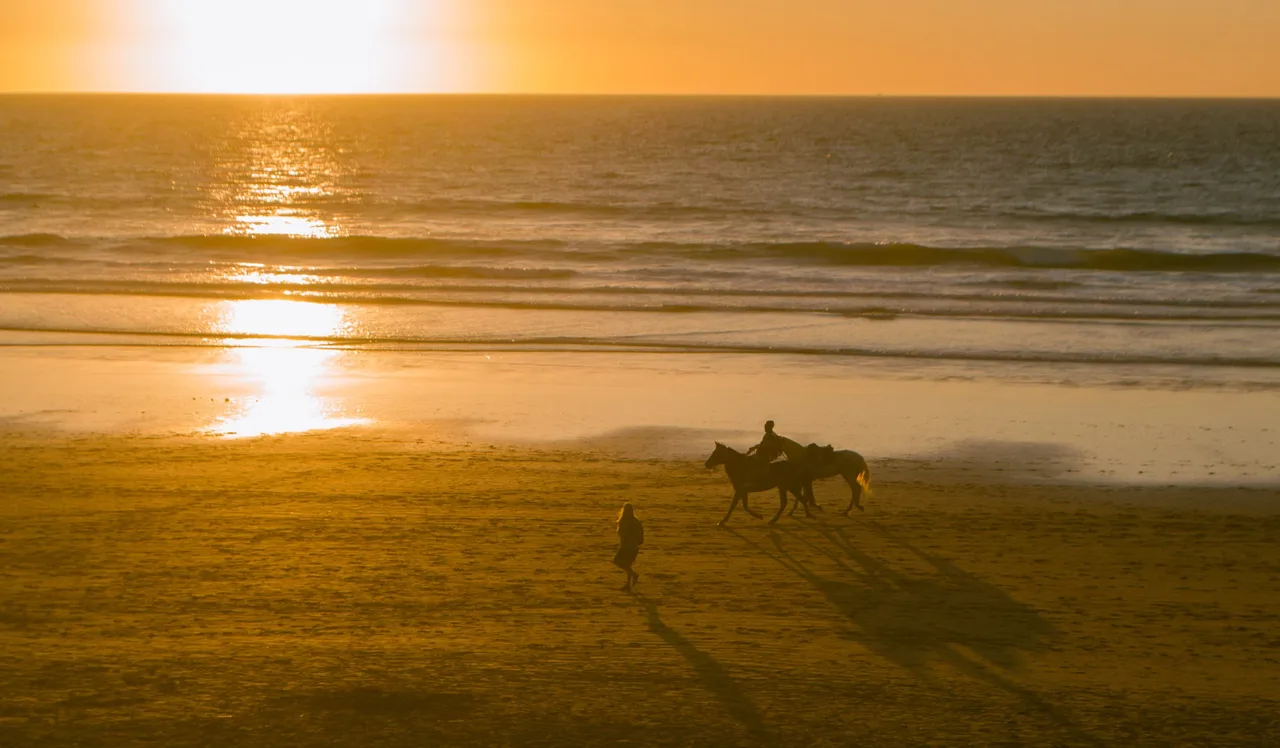 Silhouette d'un cavalier sur la plage