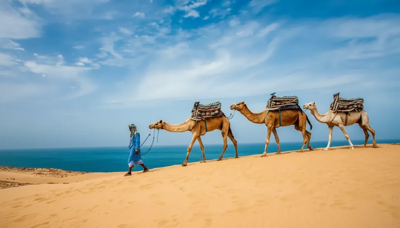 Agadir Adventure: Paradise Valley Hike, Timlaline Dunes & Camel Ride