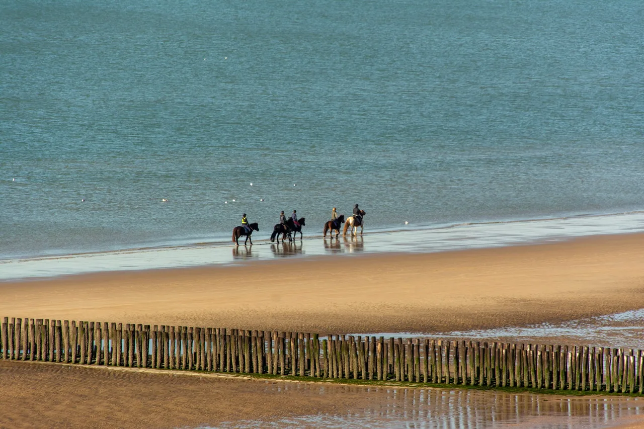 Équitation sur une plage côtière en journée