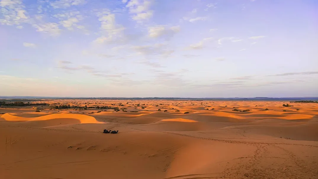 Déjeuner marocain à Taznakht