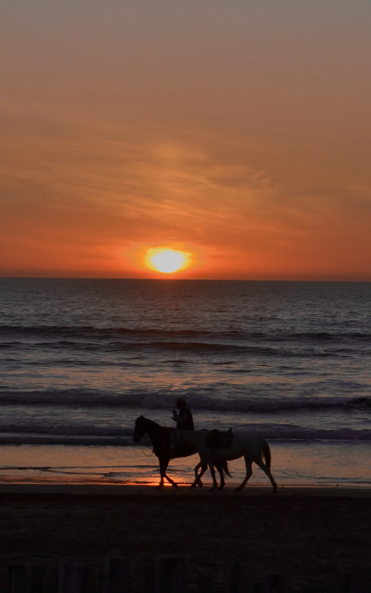 Personne à cheval sur la plage au coucher du soleil près d'Agadir