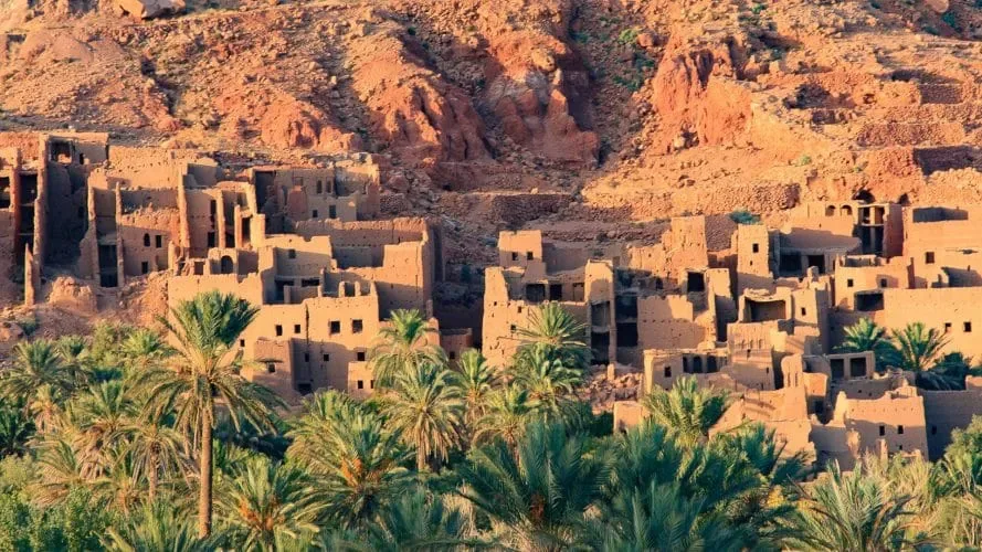 Chèvres grimpant dans les arganiers au Maroc