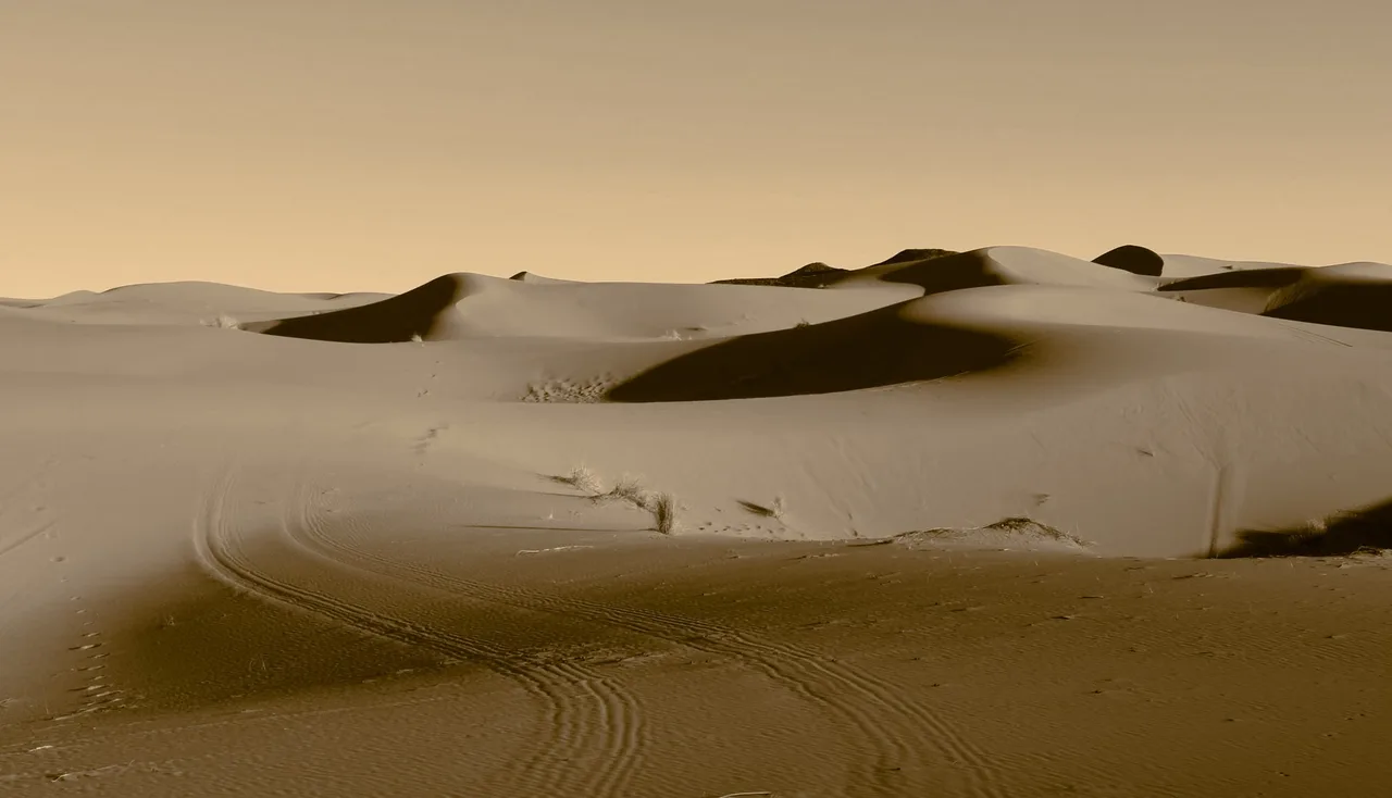 Erg Chebbi desert dunes in Morocco