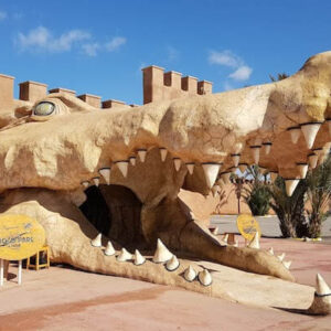 Agadir Crocoparc Tour with Tickets & Transfer
