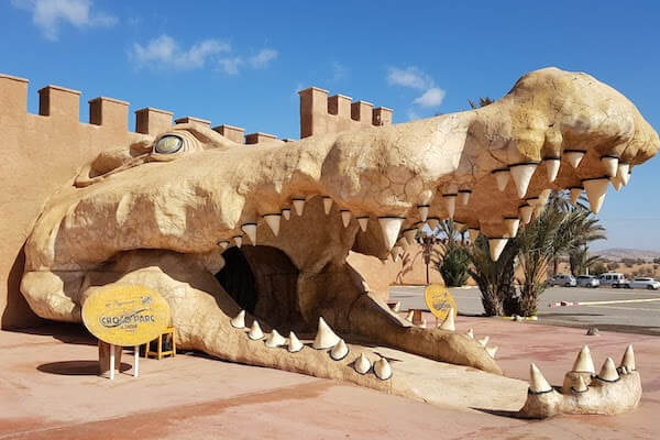 Agadir Crocoparc Tour with Tickets & Transfer