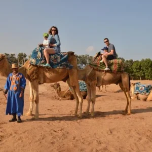 Agadir Camel Ride Experience