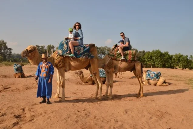 Agadir Camel Ride Experience